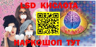 прущие грибы Комсомольск-на-Амуре